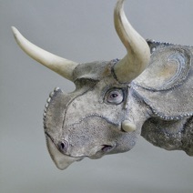 Girl's Nasutoceratops